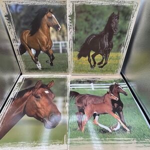 Vintage 2004 Mead Horse Portfolio Folders Set of 4 Bob Langrish Photography